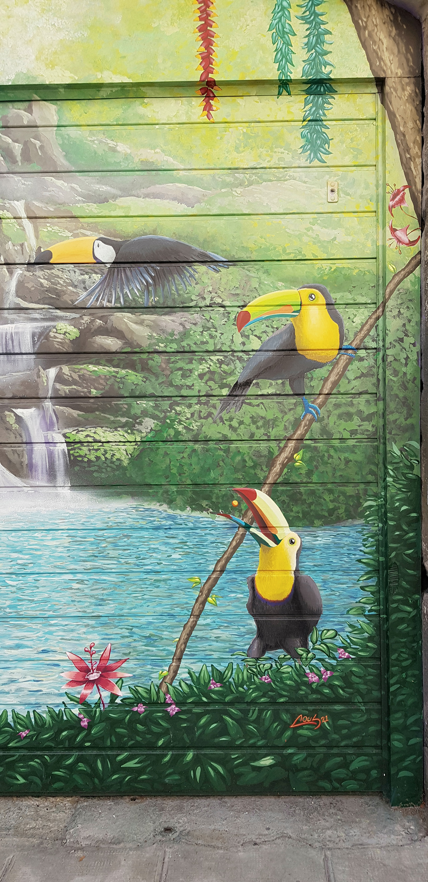 Toucans - peinture réalisée au pinceau